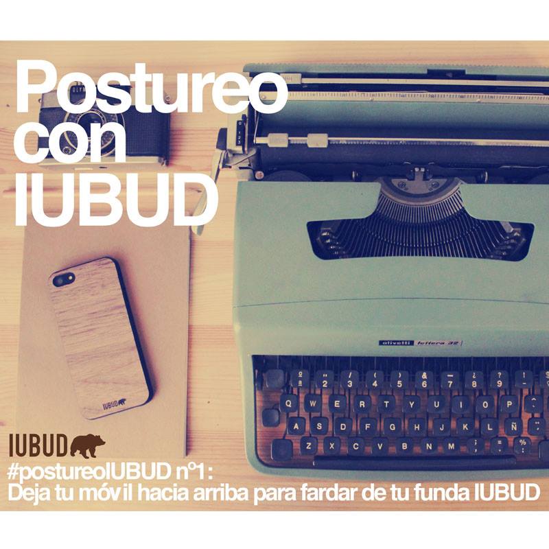 iubud 2